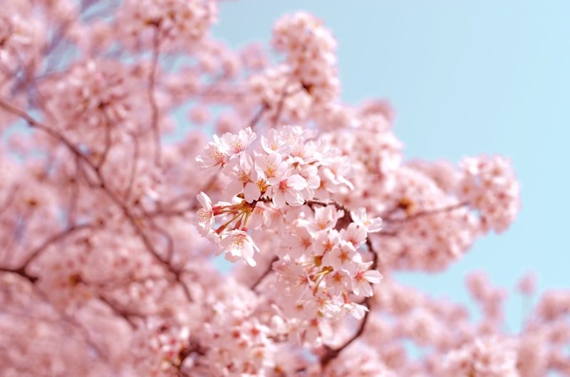 Golden Week Japan 2026 — Events & Festivals